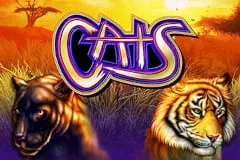 Cats Slot Machine