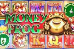 Money Frog Slot Review