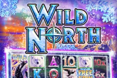 Wild North Slot Review